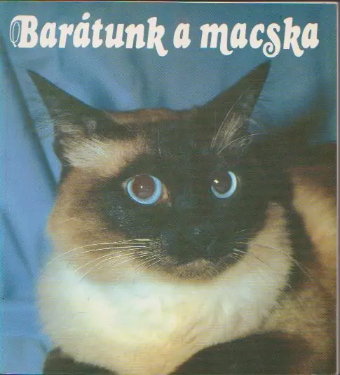 Utolsó esély Kapusi Rózsa: Barátunk a macska