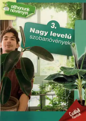 Prémium Nagy ​levelű szobanövények