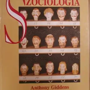 Expressz szállítás Anthony Giddens - Szociológia