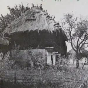 Biztonságos vásárlás Moldova György - Az Őrség panasza