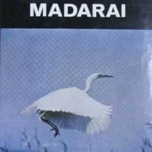 R. T. Peterson - Európa madarai Különleges ajánlat