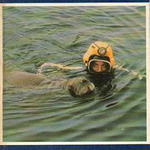 Vízi barátaink - Jacques-Yves Cousteau - Philippe Diolé Vásárlói kedvenc