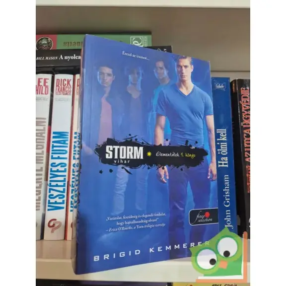 Brigid Kemmerer: Storm – Vihar (Elementálok 1.) (Fine selection - Vörös pöttyös könyvek) Akció