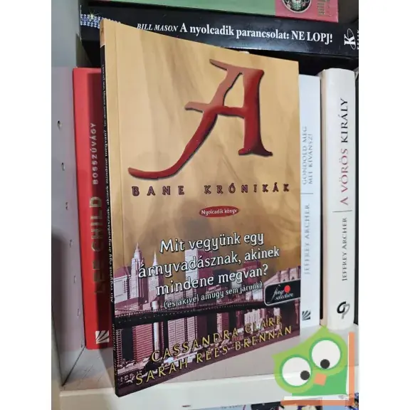 Cassandra Clare, Sarah Rees Brennan: Mit vegyünk egy árnyvadásznak, akinek mindene megvan? (Bane krónikák 8.) (Árnyvadász univerzum) (Fine Selection) Végkiárusítás