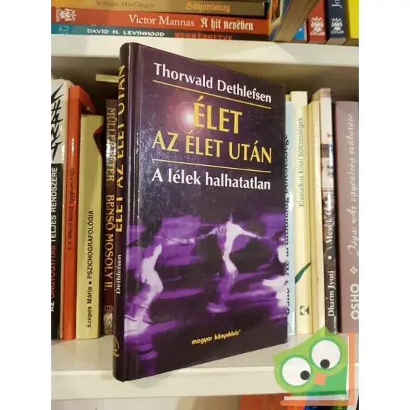 Nézd meg most Thorwald Dethlefsen: Élet az élet után