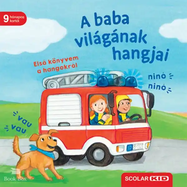 A baba világának hangjai Ajánlat