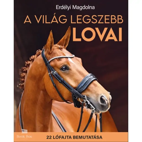 A világ legszebb lovai- 22 lófajta bemutatása Legkelendőbb