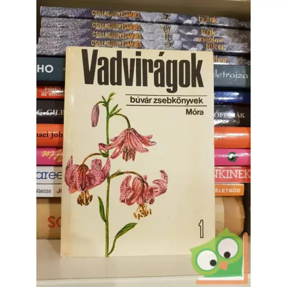 Utolsó esély Horánszky András: Vadvirágok 1. (Búvár zsebkönyvek)