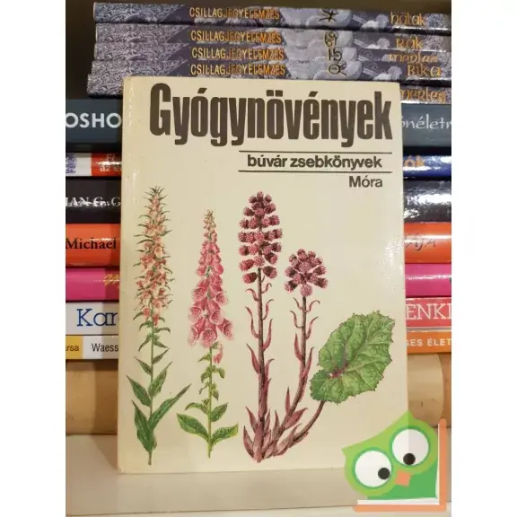 Legnépszerűbb Isépy István: Gyógynövények (Búvár zsebkönyvek)