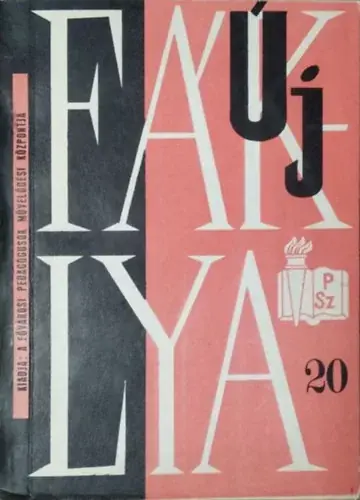 Utolsó esély Törekvések a tanulás irányítására - Óraleírások, gyakorlatok, feladatlapok, programok (Új Fáklya 20.) - Kiss Árpádné (szerk.)