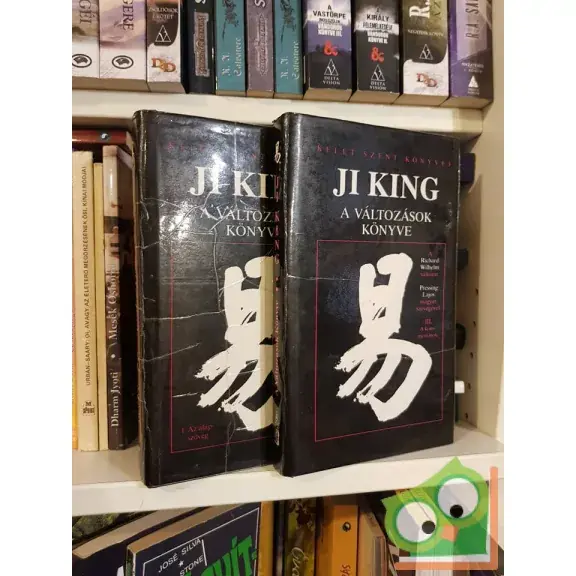Vedd meg most Ji King: A változások könyve