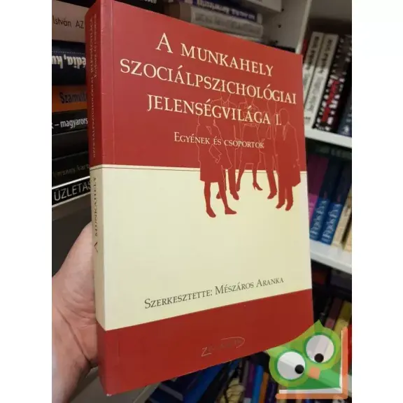 Mészáros Aranka: A munkahely szociálpszichológiai jelenségvilága I. Nézd meg most