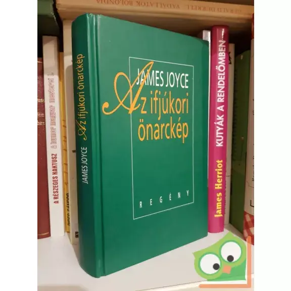 Vedd meg online James Joyce: Ifjúkori önarckép