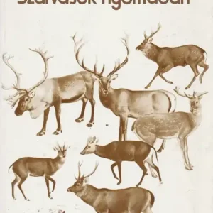Szarvasok nyomában Kiárusítás