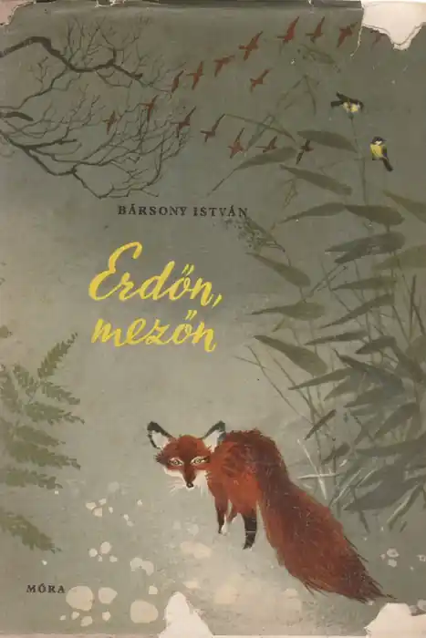 Legnépszerűbb Erdőn, mezőn