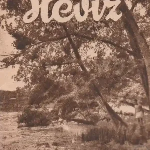 Alacsony ár Hévíz