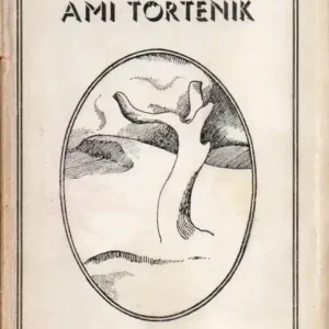 Expressz kézbesítés Ami történik
