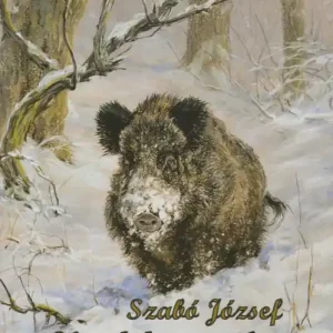 Szuper ajánlat Vaddisznóláz
