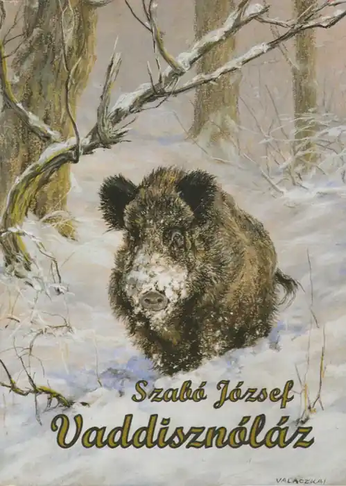 Szuper ajánlat Vaddisznóláz