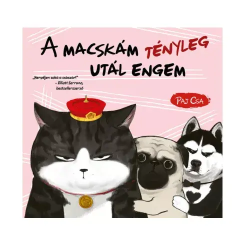 A macskám tényleg utál engem - Macska és Kutya 2. - Paj Csa Rendeld meg most