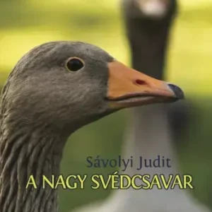 A nagy svédcsavar Újdonság