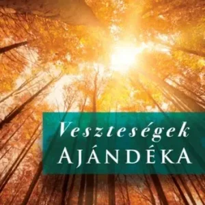 Veszteségek ajándéka Akciós ár