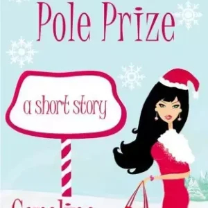 Alacsony ár The North Pole Prize