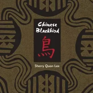 Chinese Blackbird Szezonális akció