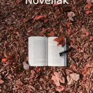 Utolsó esély Novellák