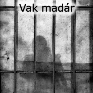 Vak madár Végkiárusítás