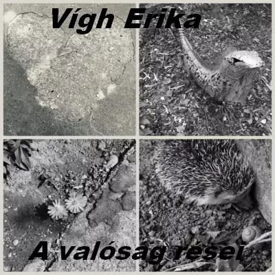 Vedd meg online A valóság rései - Novellák, egypercesek, versek