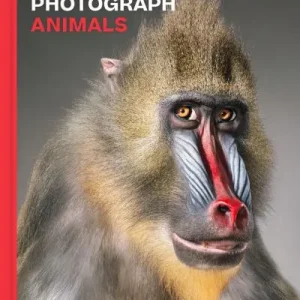 Why We Photograph Animals Utolsó esély
