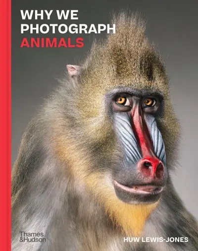 Why We Photograph Animals Utolsó esély