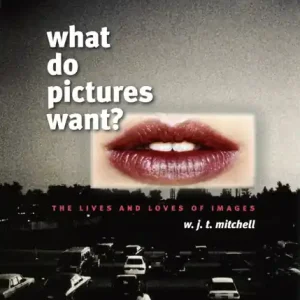 What Do Pictures Want? - The Lives and Loves of Images Vásárlói kedvenc
