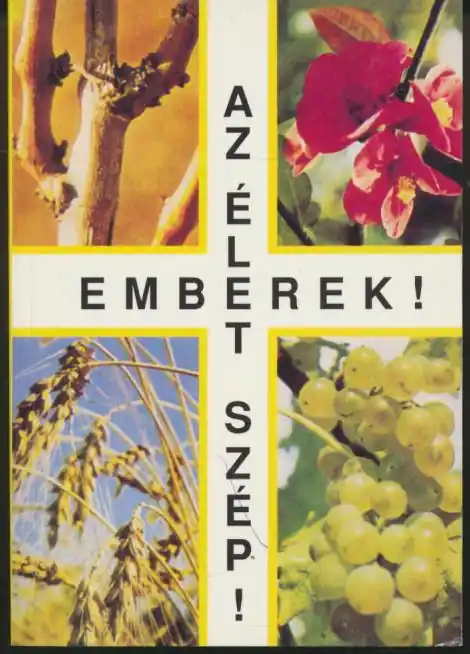 Vedd meg online Szenthelyi-Molnár István: Emberek! Az élet szép