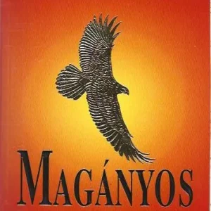 Újdonság Danielle Steel: Magányos sas