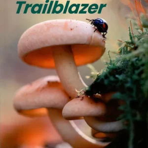 Bestseller Trailblazer Starter Student's Book with Spark platform (2025)