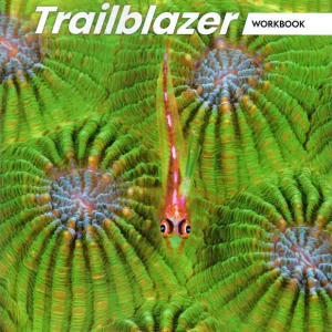 Trailblazer 4 Workbook (2025) Gyors kiszállítás