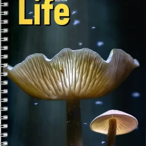 Vedd meg most Life 3rd edition Elementary Teacher's Book (2025)